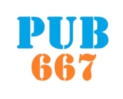 667PUB